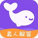 准准app